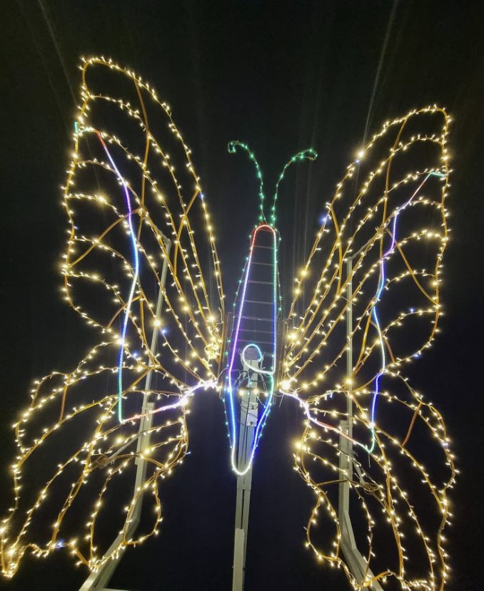 Le papillon lumineux